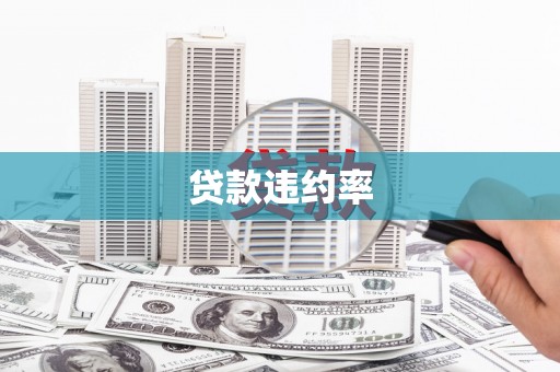 嵊州贷款违约率