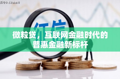 嵊州微粒贷，互联网金融时代的普惠金融新标杆
