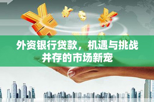 嵊州外资银行贷款，机遇与挑战并存的市场新宠
