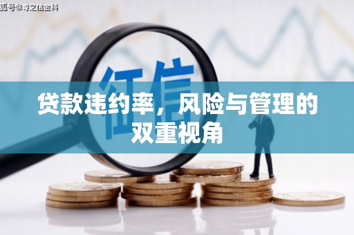 嵊州贷款违约率，风险与管理的双重视角
