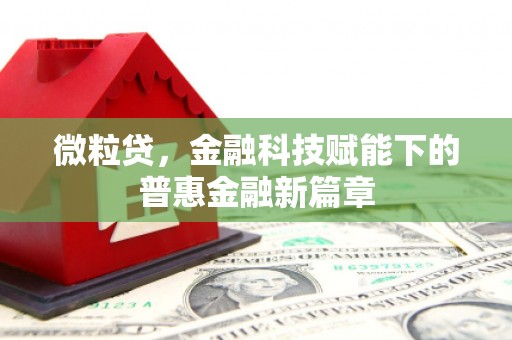 嵊州微粒贷，金融科技赋能下的普惠金融新篇章