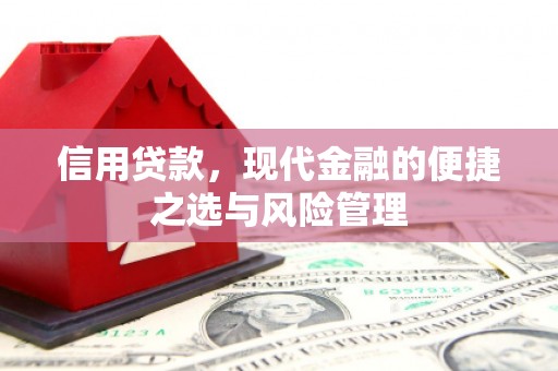 嵊州信用贷款，现代金融的便捷之选与风险管理