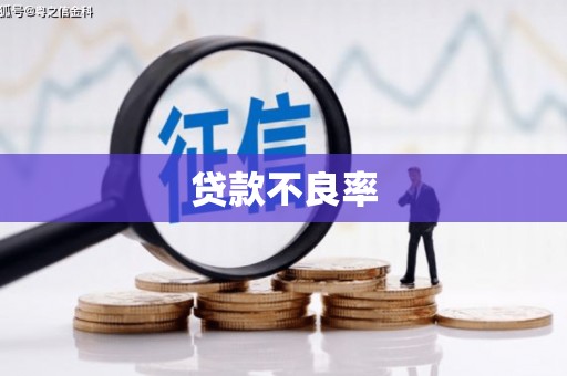 嵊州贷款不良率