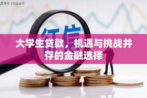 嵊州大学生贷款，机遇与挑战并存的金融选择
