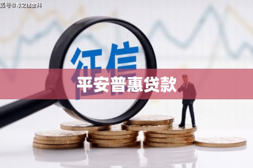 嵊州平安普惠贷款