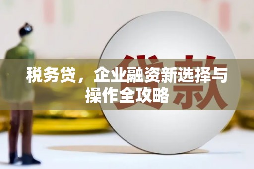 嵊州税务贷，企业融资新选择与操作全攻略