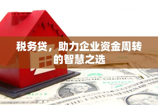 嵊州税务贷，助力企业资金周转的智慧之选