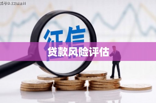 嵊州贷款风险评估