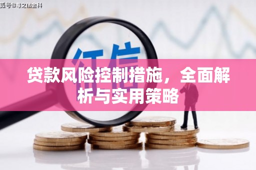 嵊州贷款风险控制措施，全面解析与实用策略