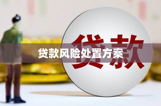 嵊州贷款风险处置方案