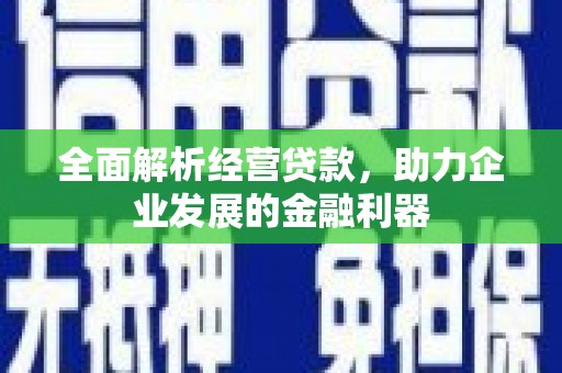 嵊州全面解析经营贷款，助力企业发展的金融利器