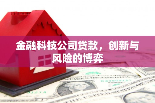 嵊州金融科技公司贷款，创新与风险的博弈