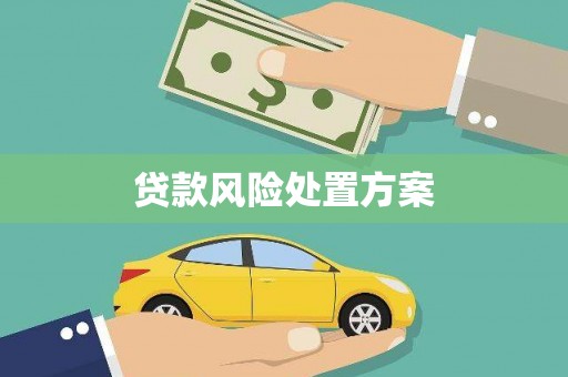嵊州贷款风险处置方案