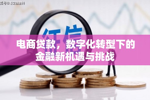 嵊州电商贷款，数字化转型下的金融新机遇与挑战