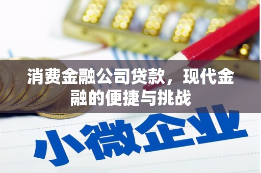 嵊州消费金融公司贷款，现代金融的便捷与挑战