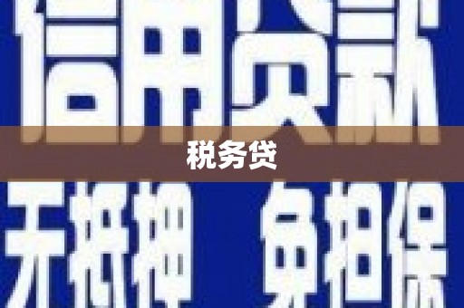 嵊州税务贷
