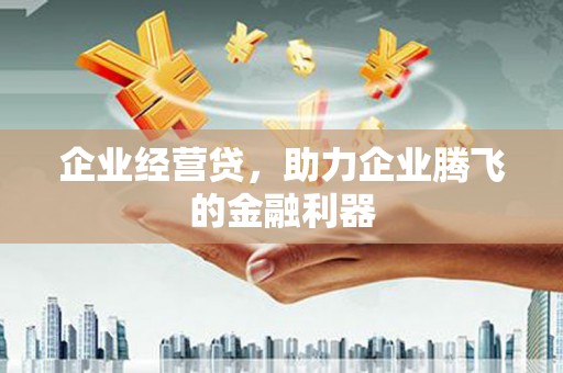 嵊州企业经营贷，助力企业腾飞的金融利器