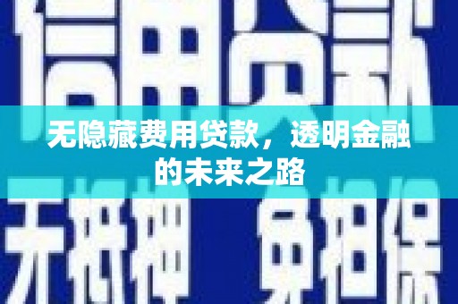 嵊州无隐藏费用贷款，透明金融的未来之路