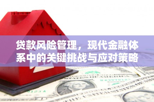 嵊州贷款风险管理，现代金融体系中的关键挑战与应对策略