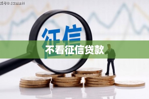 嵊州不看征信贷款