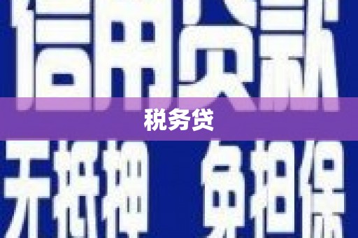 嵊州税务贷
