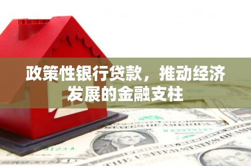 嵊州政策性银行贷款，推动经济发展的金融支柱
