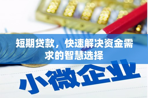 嵊州短期贷款，快速解决资金需求的智慧选择