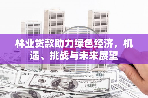 嵊州林业贷款助力绿色经济，机遇、挑战与未来展望
