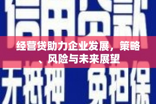嵊州经营贷助力企业发展，策略、风险与未来展望
