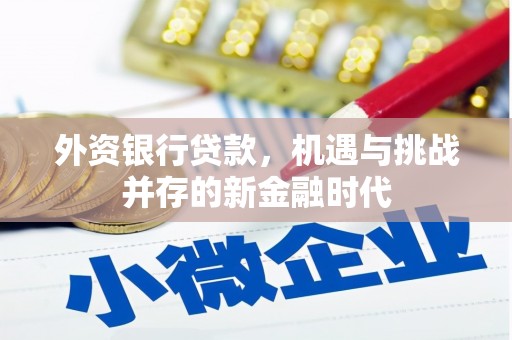 嵊州外资银行贷款，机遇与挑战并存的新金融时代
