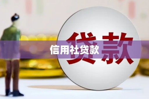 嵊州信用社贷款