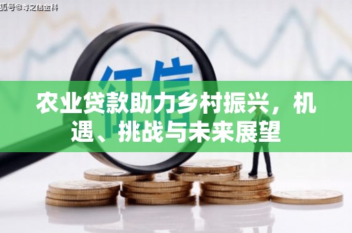 嵊州农业贷款助力乡村振兴，机遇、挑战与未来展望