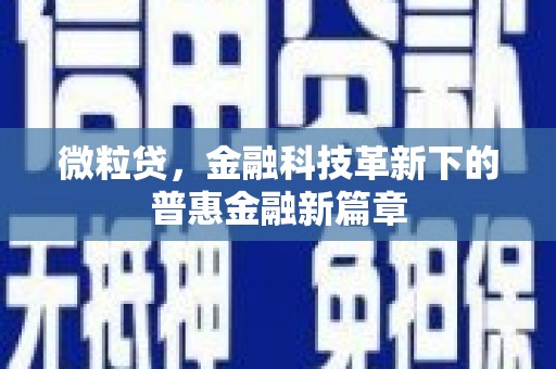 嵊州微粒贷，金融科技革新下的普惠金融新篇章