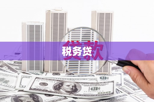 嵊州税务贷