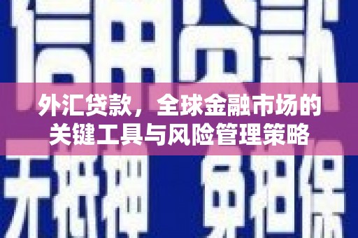 嵊州外汇贷款，全球金融市场的关键工具与风险管理策略