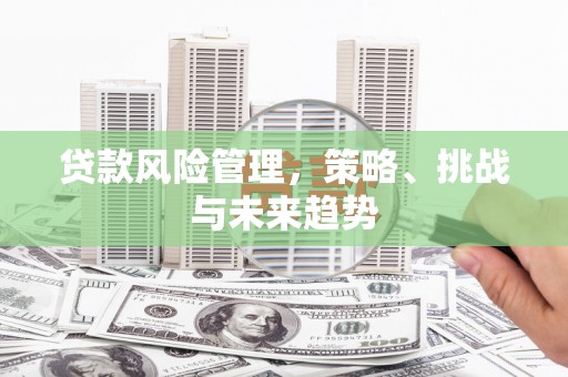 嵊州贷款风险管理，策略、挑战与未来趋势
