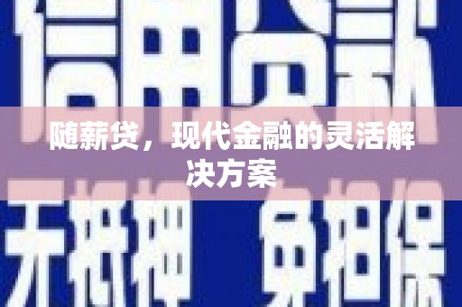 嵊州随薪贷，现代金融的灵活解决方案