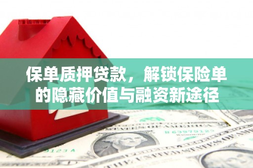 嵊州保单质押贷款，解锁保险单的隐藏价值与融资新途径