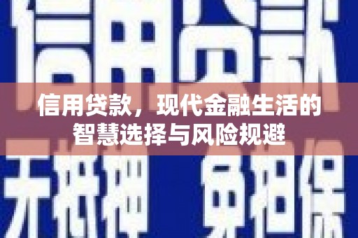 嵊州信用贷款，现代金融生活的智慧选择与风险规避