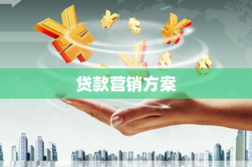 嵊州贷款营销方案