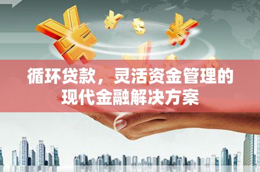 嵊州循环贷款，灵活资金管理的现代金融解决方案