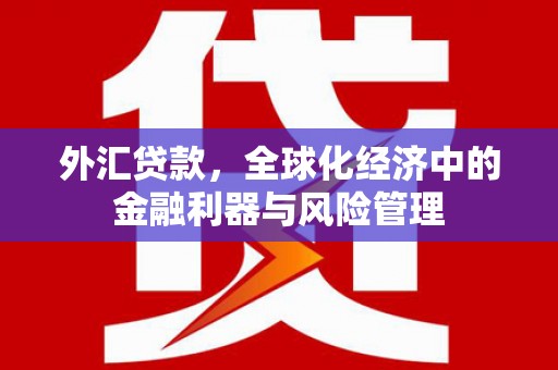 嵊州外汇贷款，全球化经济中的金融利器与风险管理