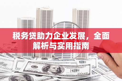 嵊州税务贷助力企业发展，全面解析与实用指南