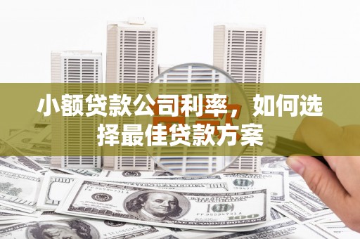 嵊州小额贷款公司利率，如何选择最佳贷款方案