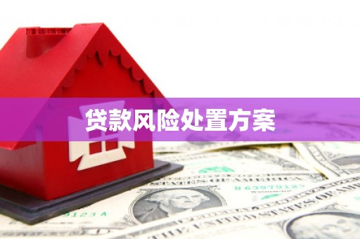 嵊州贷款风险处置方案