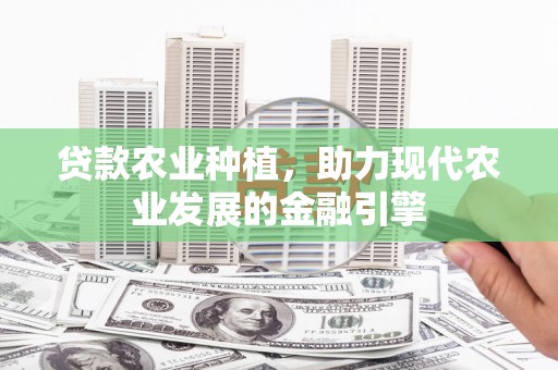 嵊州贷款农业种植，助力现代农业发展的金融引擎