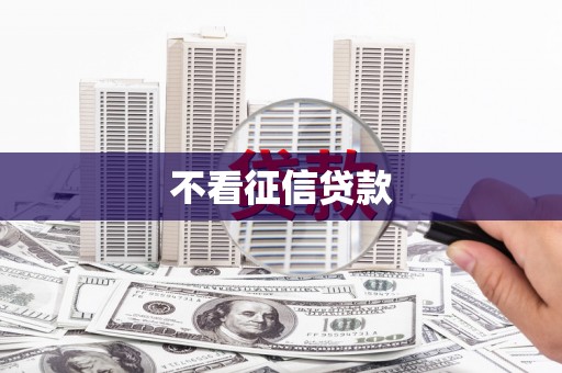 嵊州不看征信贷款