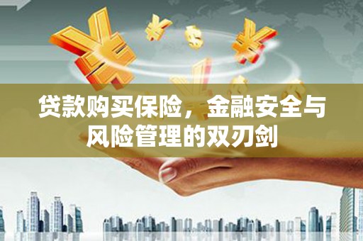 嵊州贷款购买保险，金融安全与风险管理的双刃剑