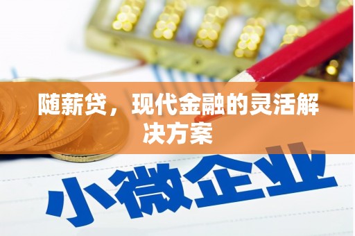 嵊州随薪贷，现代金融的灵活解决方案