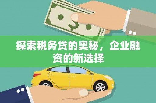 嵊州探索税务贷的奥秘，企业融资的新选择